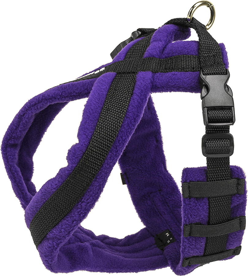 EEZWALKER Harness