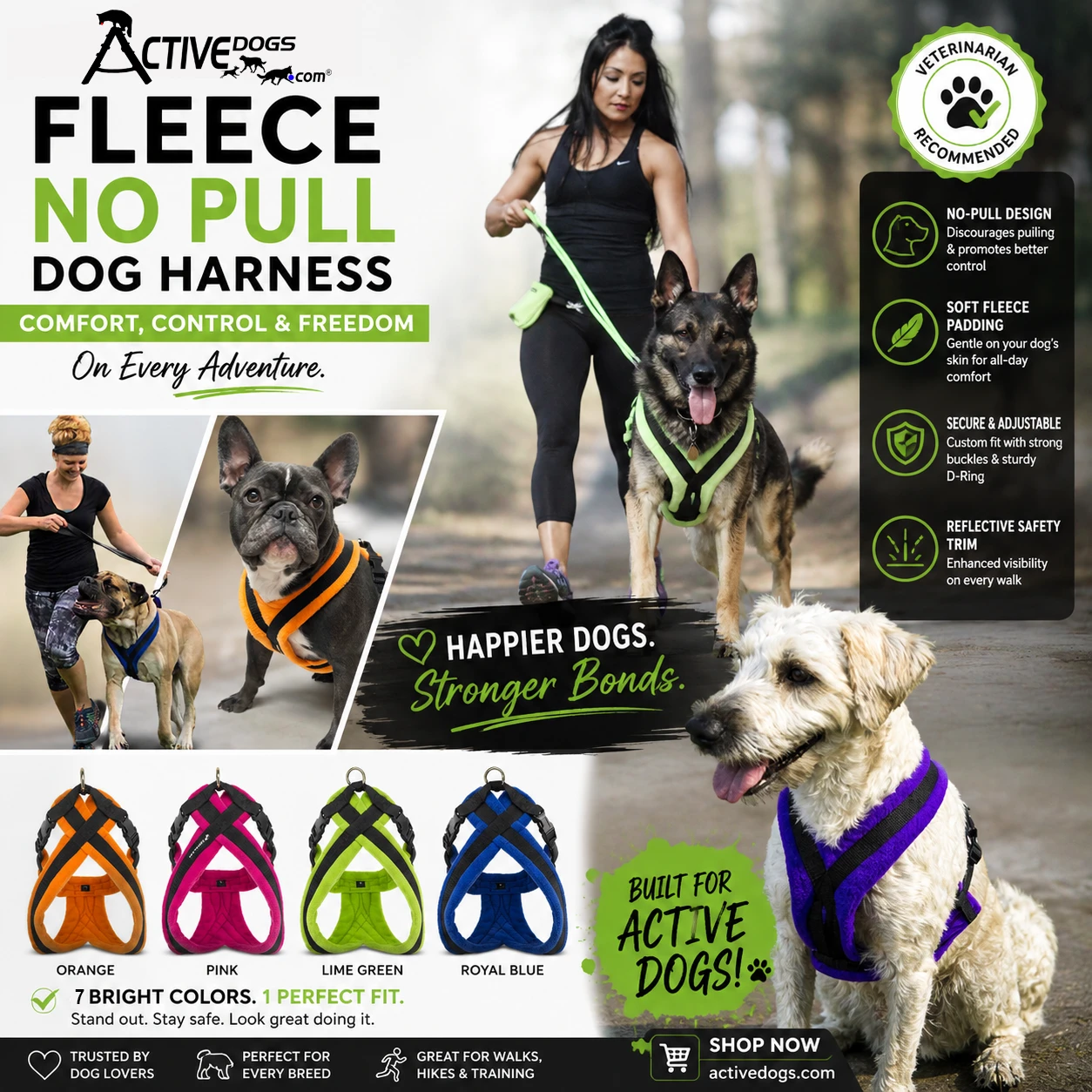 EEZWALKER Harness