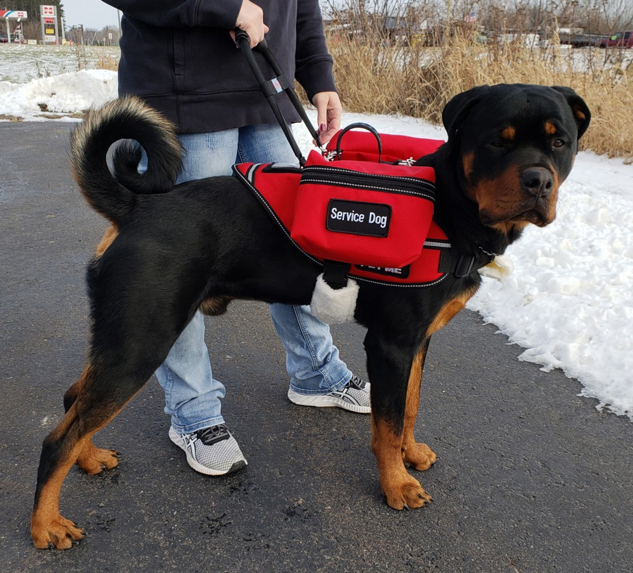 Ultimate Working Service Dog Vest w/ Clip-On Accessory Bags