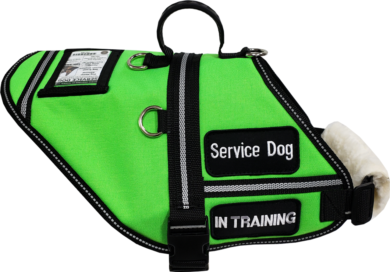 Dog Training vest military green – AkraCreations