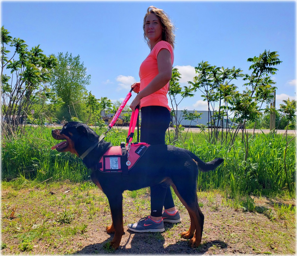 Lightweight summer service dog vest with dual D-rings for bridge handle