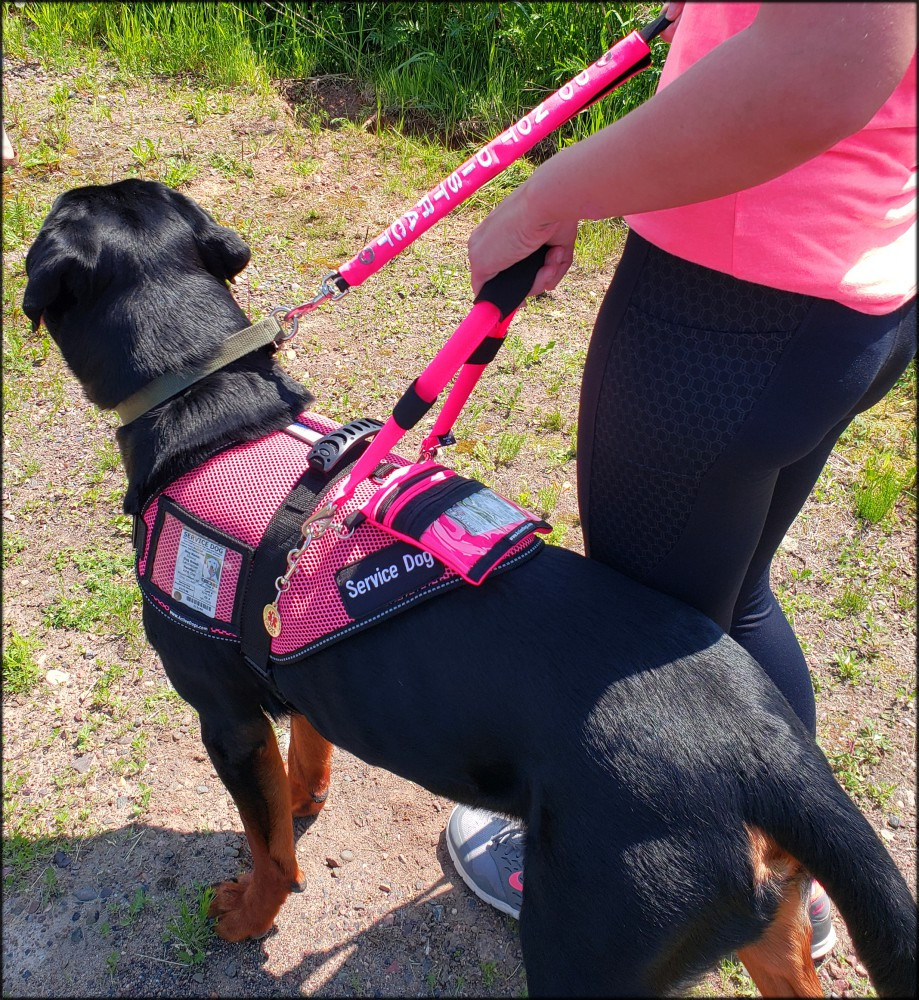 Service dog mesh vest with reflective trim and adjustable straps