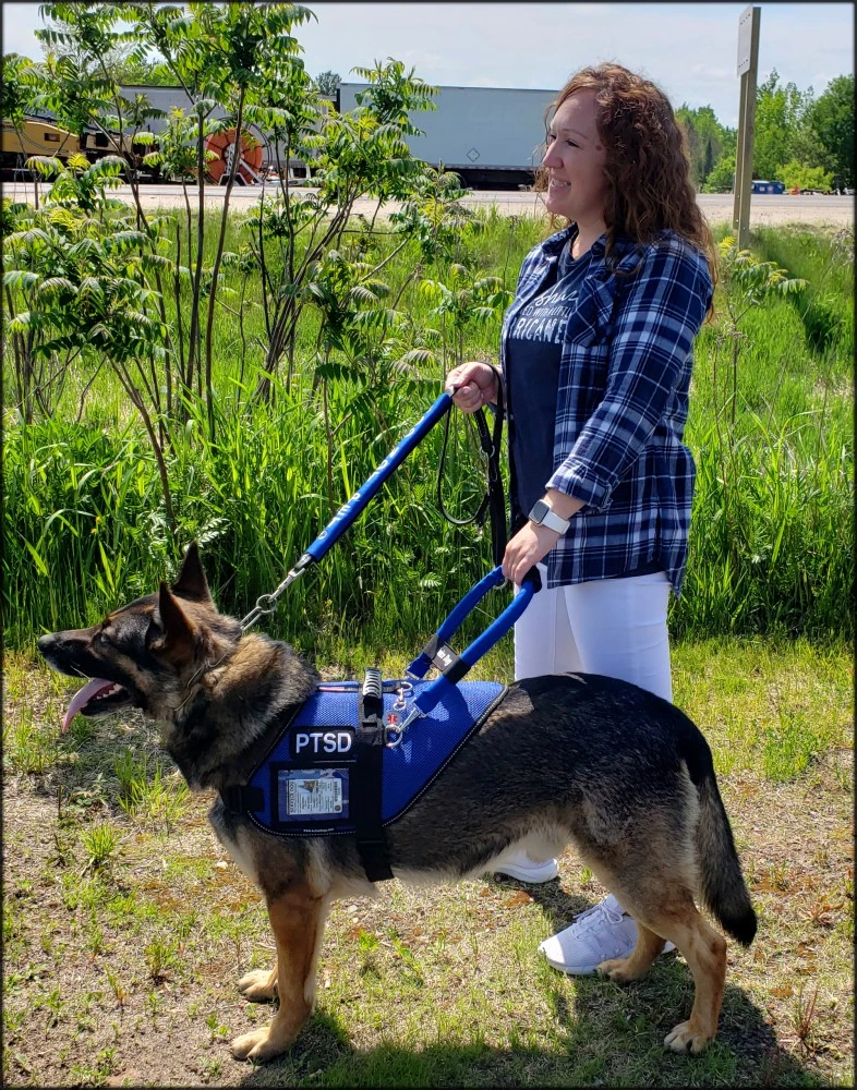 S&R style mesh Service Dog harness