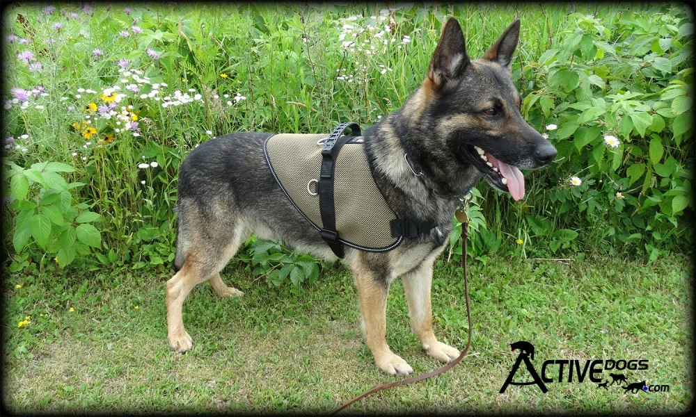 Service dog vest with breathable mesh fabric and ID window pocket