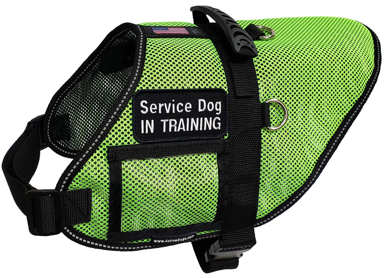 Lightweight mesh service dog vest for warm weather working dogs