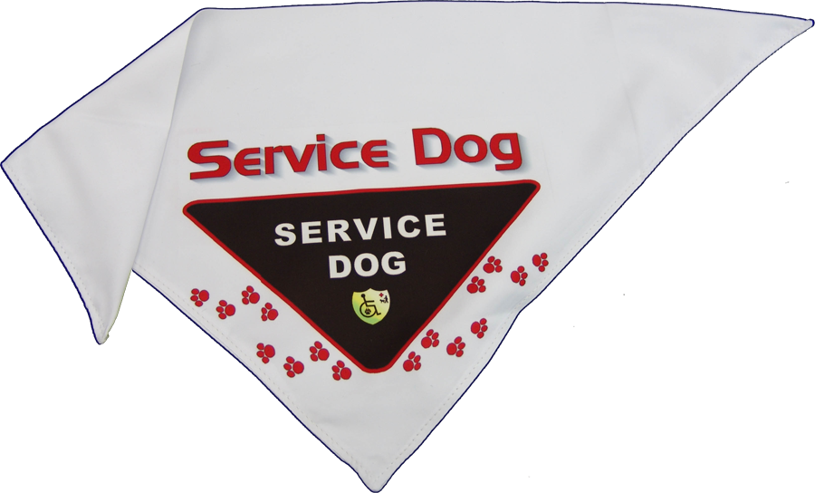 dog continuously panting