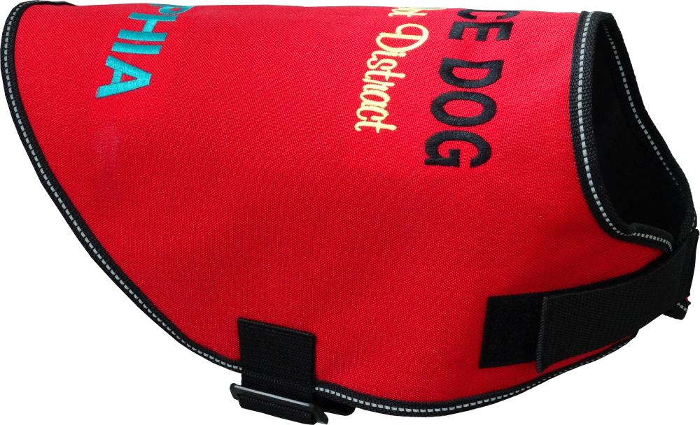 Service Dog Custom Do Not Distract Jacket/Vest