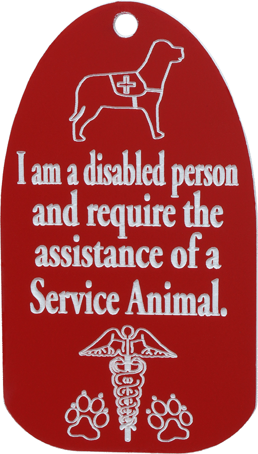 Handler ID Access Tag with Lanyard