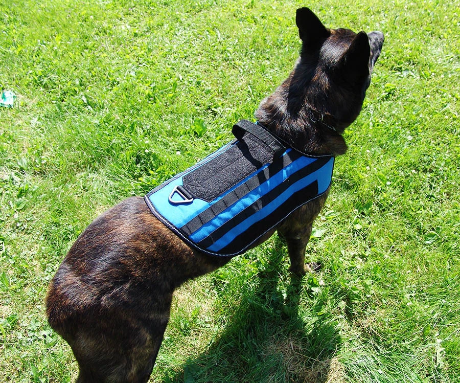 MOLLE dog vest with attachment panels