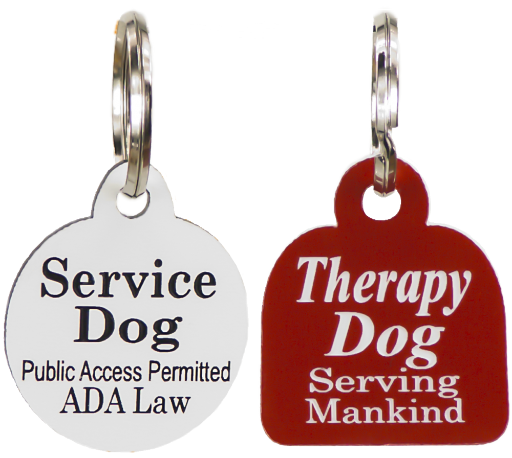 Small dog engraved ID tag