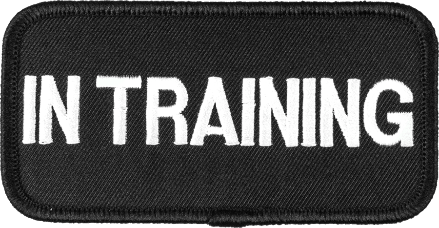 Dog in training identification patch
