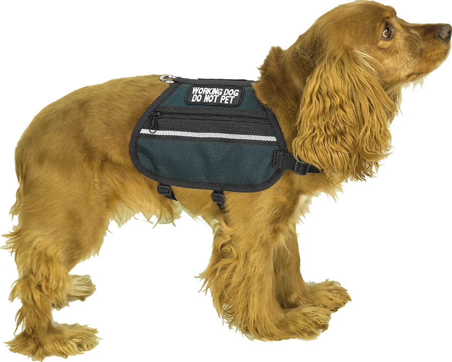 Service Dog vest with two zippered side pockets