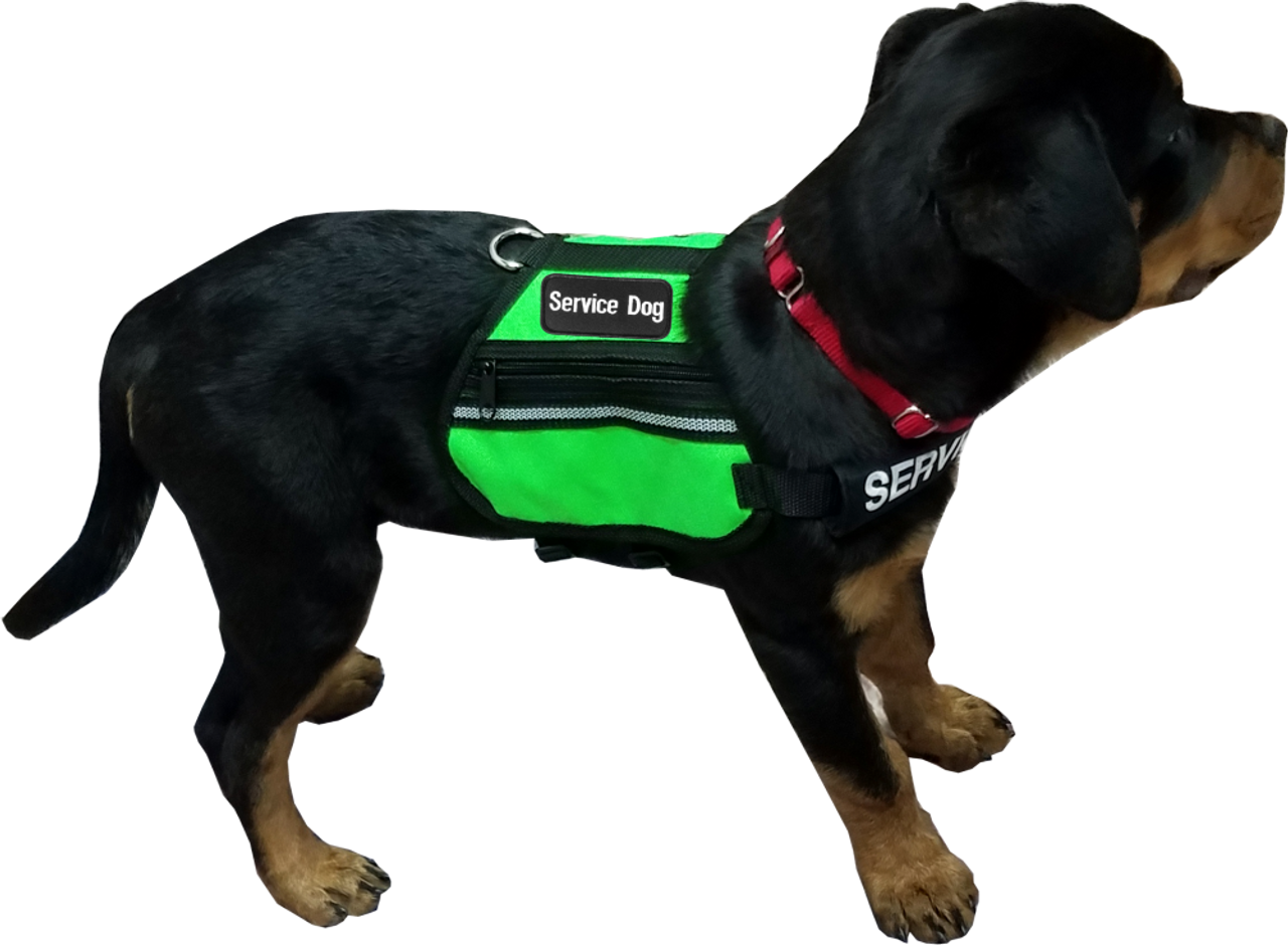 Dog Puffer Vests – Athletic Pets
