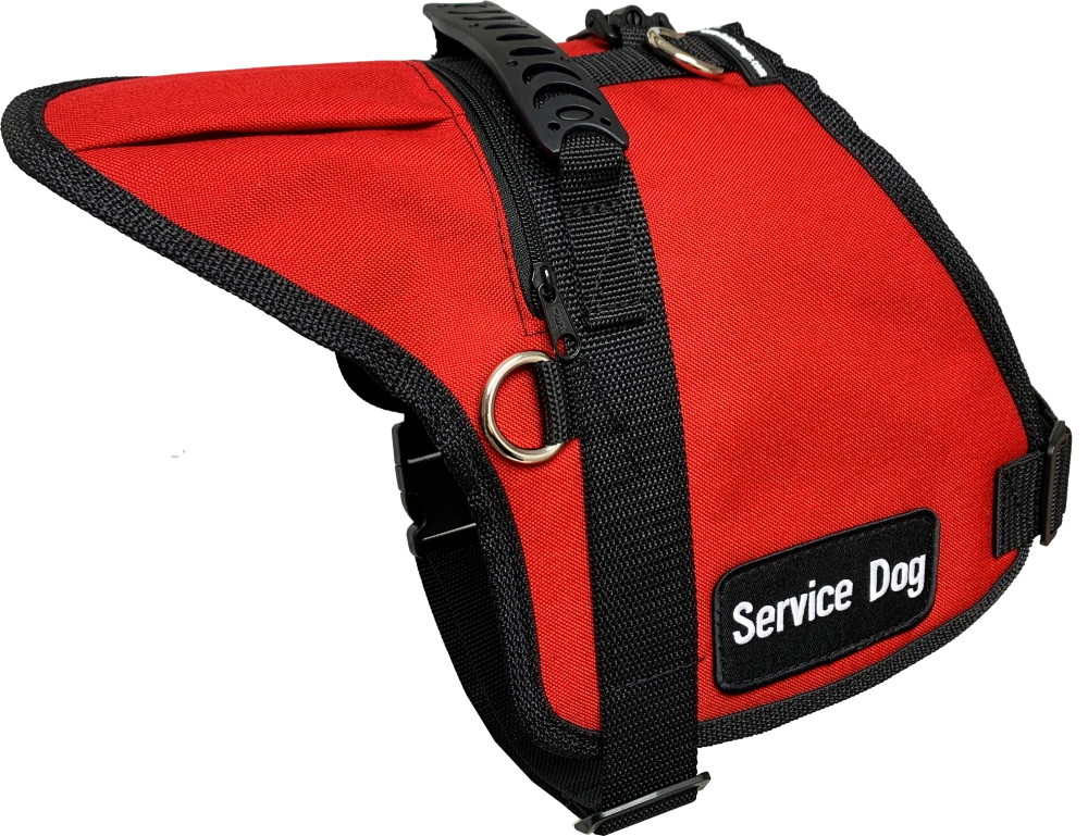 Heavy-duty padded working dog vest with storage