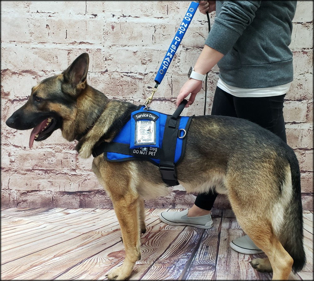 Service Dog Harness ID Pouch with Snap Attachment