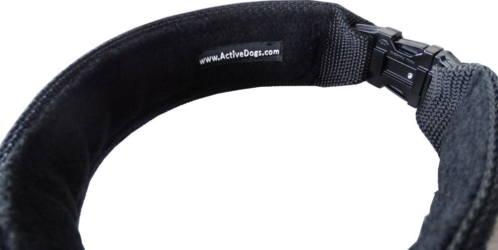 Custom ID Patch Dog Collar