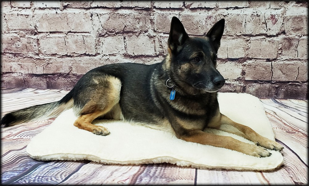 ActiveDogs premium Hi-Loft Sherpa Fleece Dog Bed for comfortable everyday sleeping