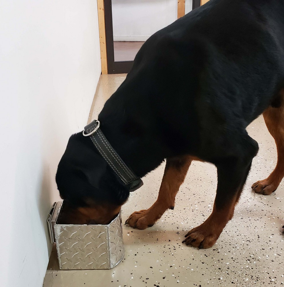 Aluminum Spill Proof k9 Water Bowl for Crates