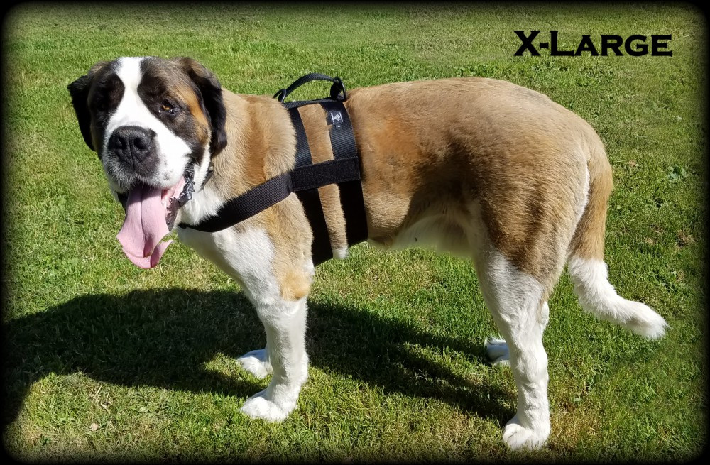 Professional K9 patrol harness with handle