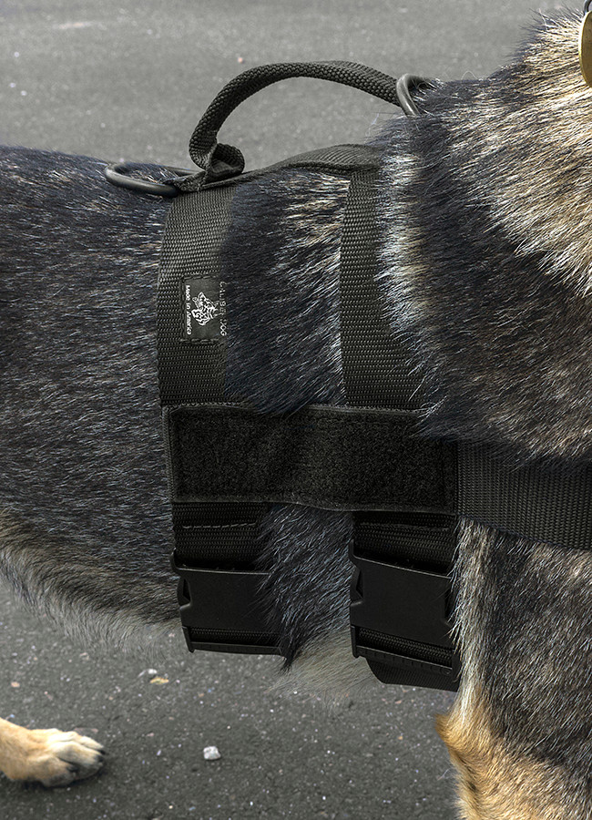 Caliberdog Patrol Double Girth Harness Close-up