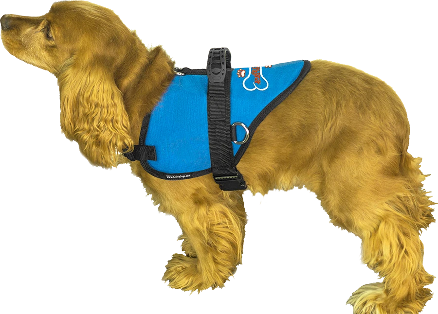 ActiveDogs custom embroidered working dog vest