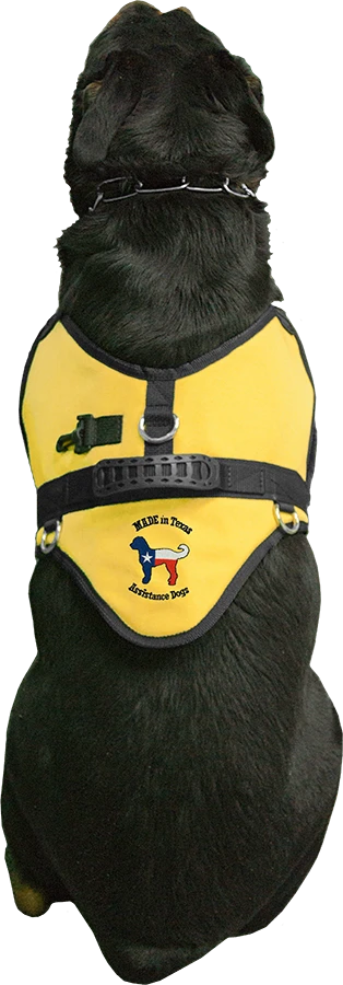 Personalized working dog harness with handle