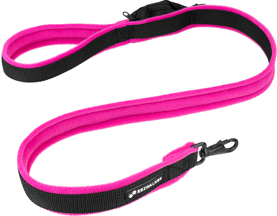 collar with built in leash