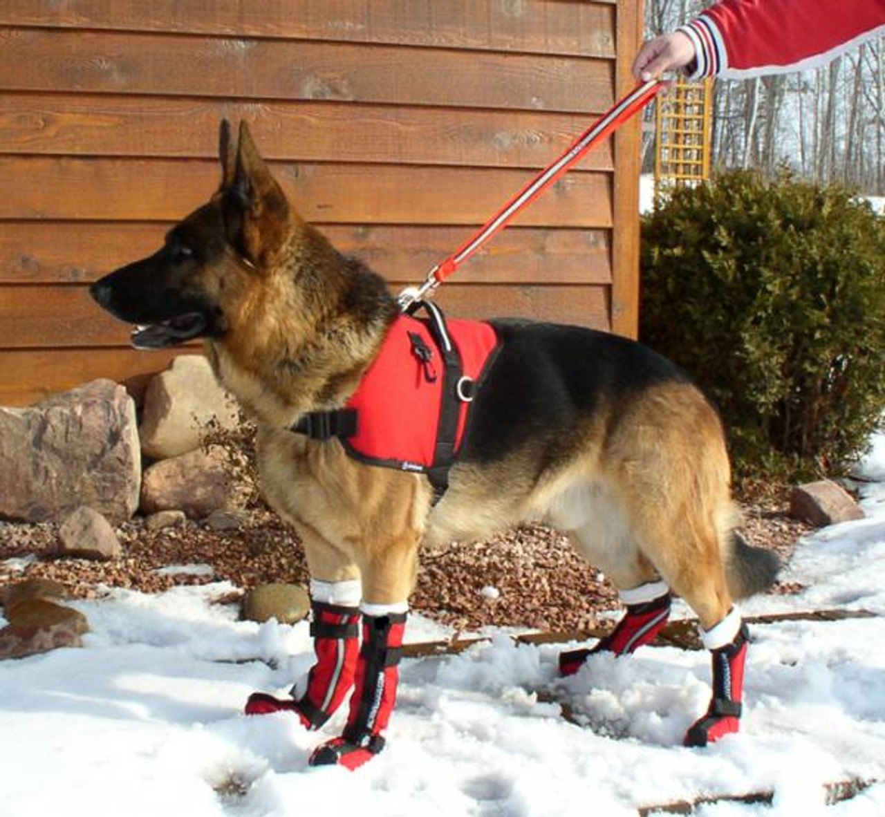 Red Ultimate Dog Boots