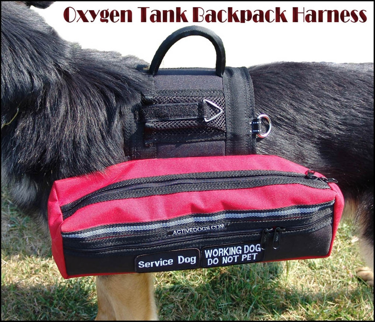 Stylish and Convenient Oxygen Tank Carry Bag