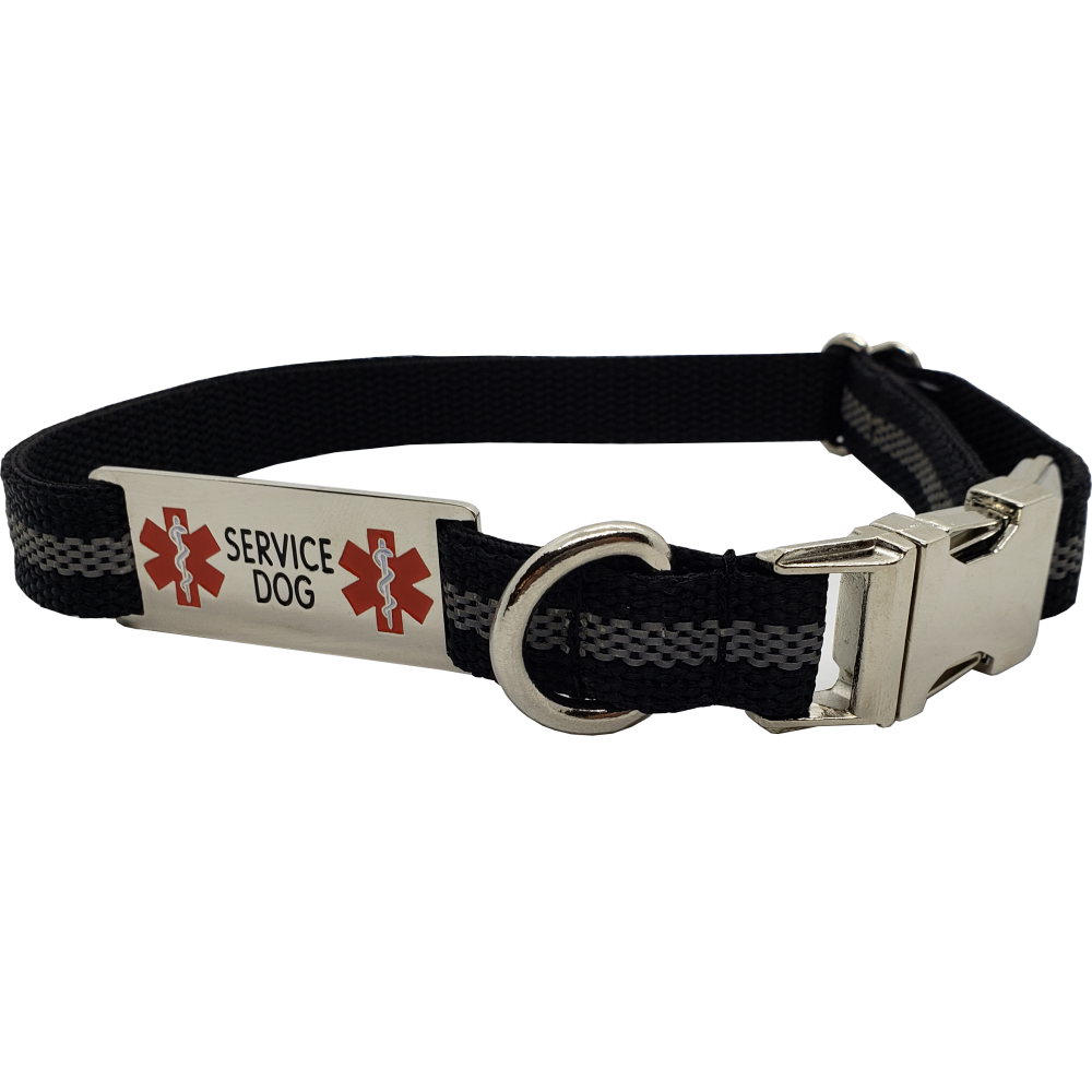 chrome dog collar