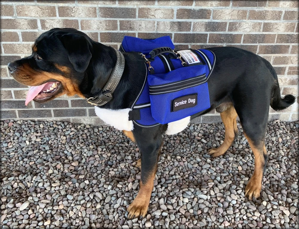 Ultimate Mesh Working Dog Vest w/ Clip-On Accessory Bags