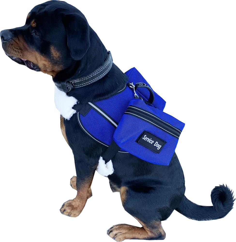 Ultimate Mesh Working Dog Vest w/ Clip-On Accessory Bags
