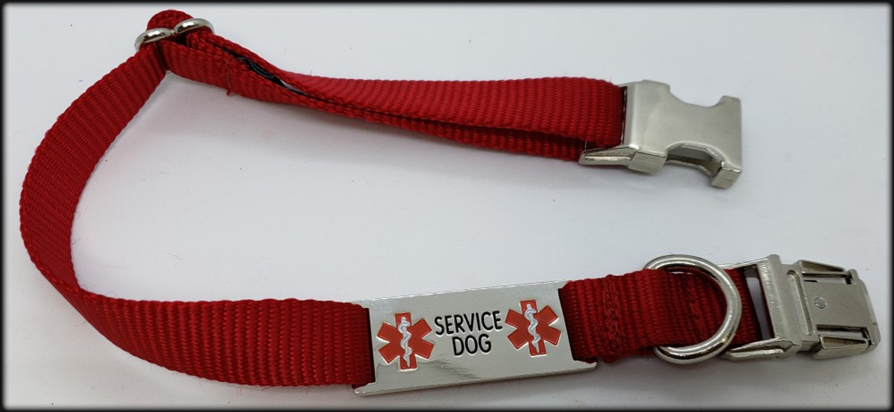 Service Dog Collar W/ Chrome Service Dog ID Tag