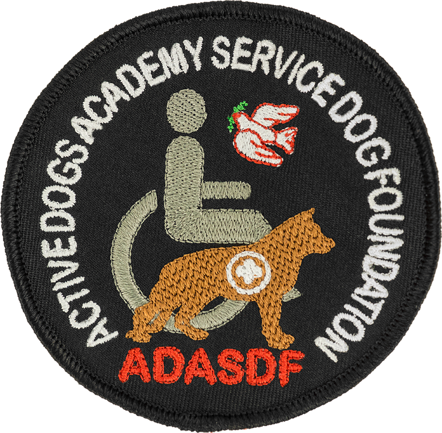 Custom training school logo patch