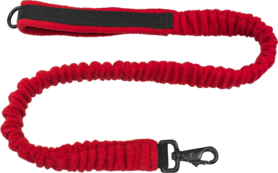 bungee leash