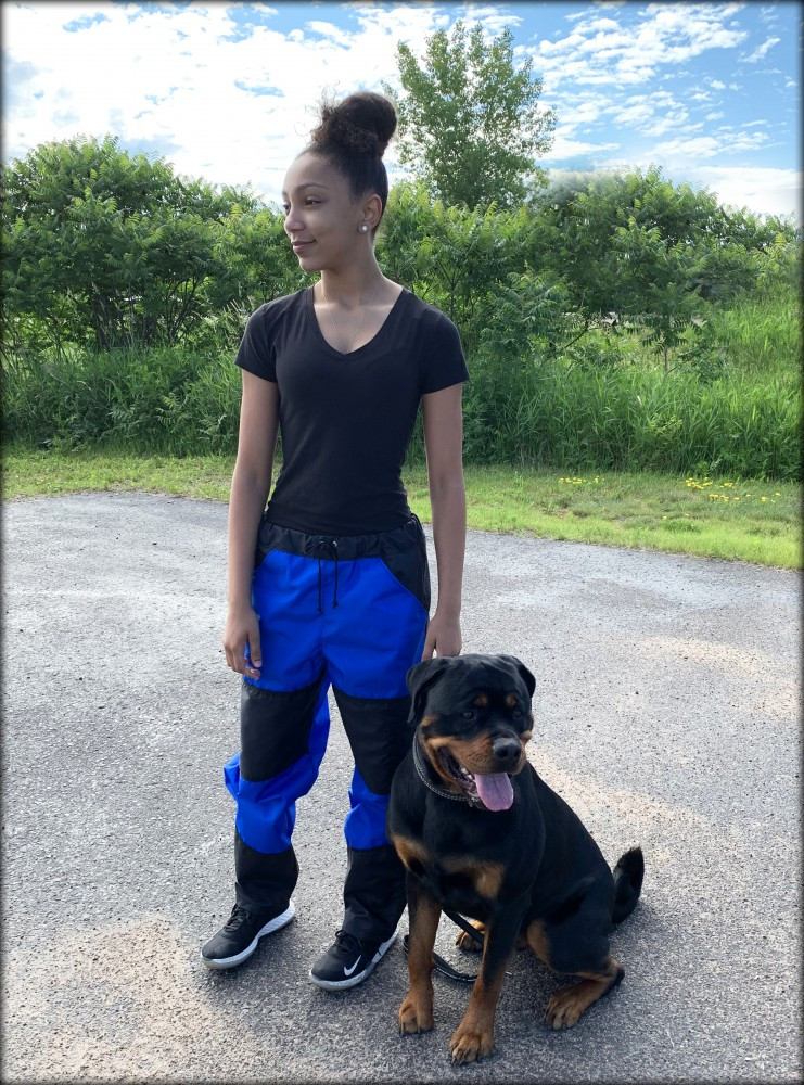 dog handler training pants
