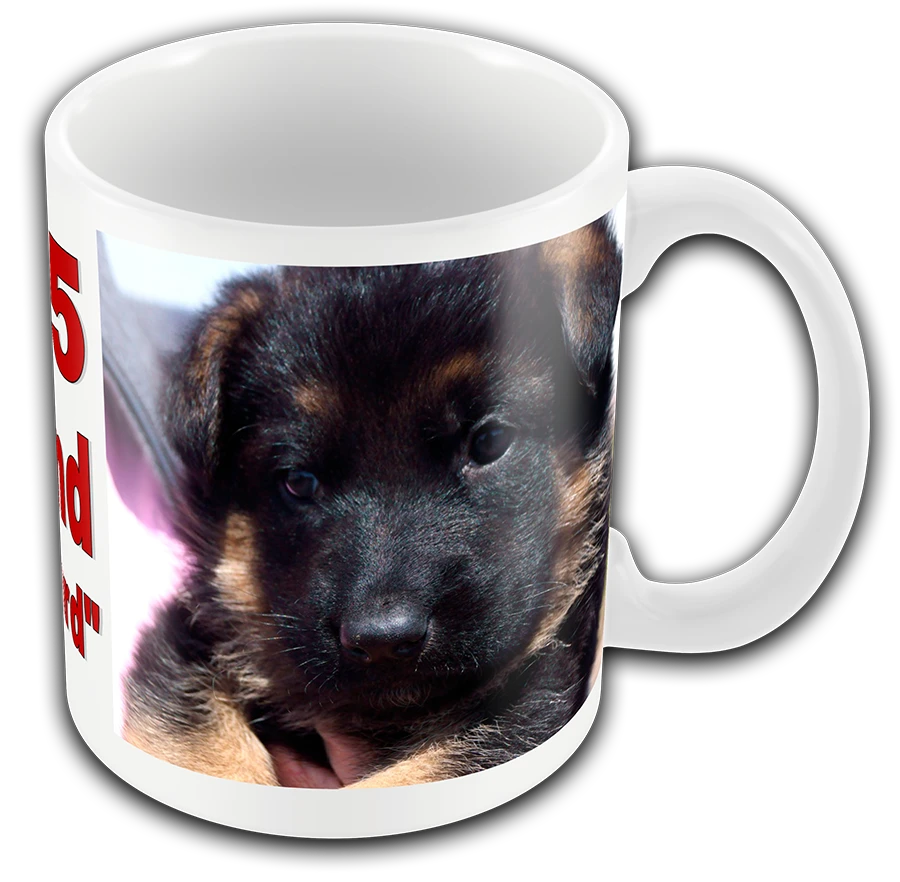 Custom photo gift mug with text