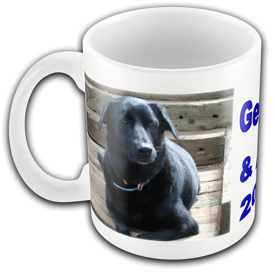 Personalized 11 oz ceramic photo mug