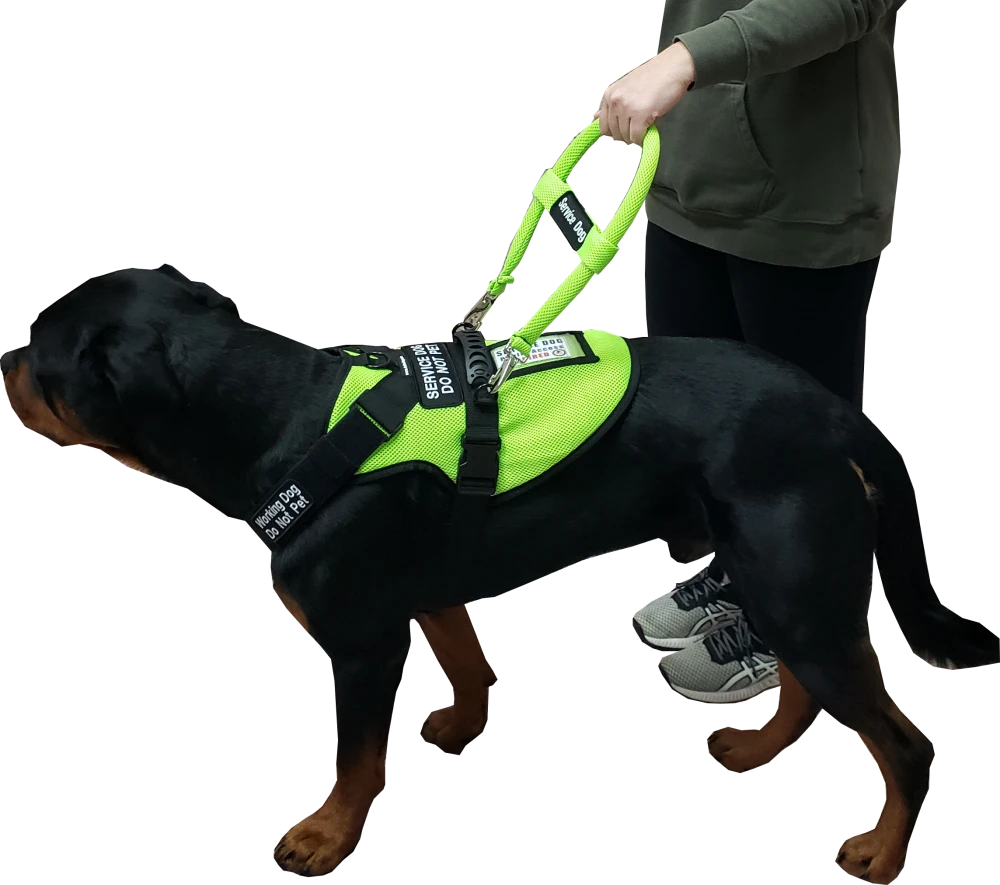ActiveDogs breathable spacer mesh Service Dog vest