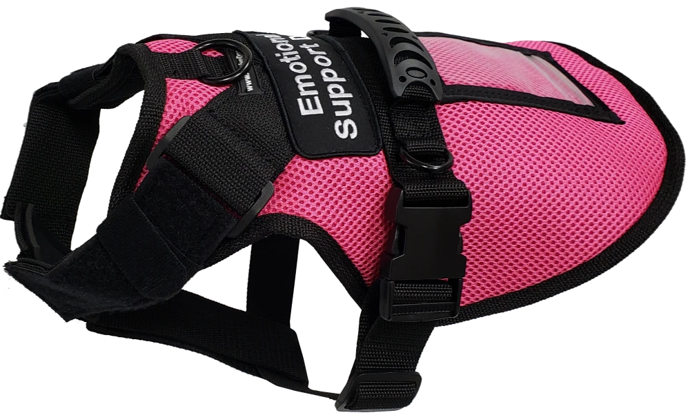 Cushioned Service Dog vest with molded control handle