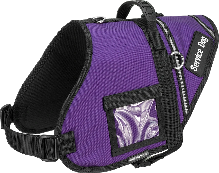 Padded Service Dog harness with clear ID window