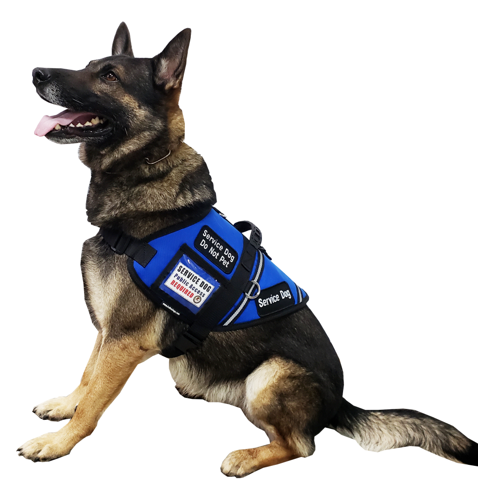 Adjustable working dog harness vest with padded mesh lining
