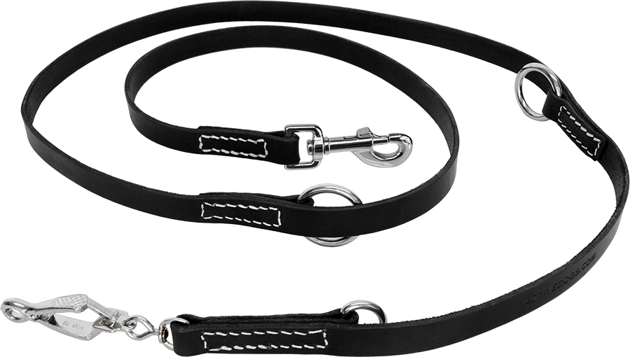 schutzhund leash