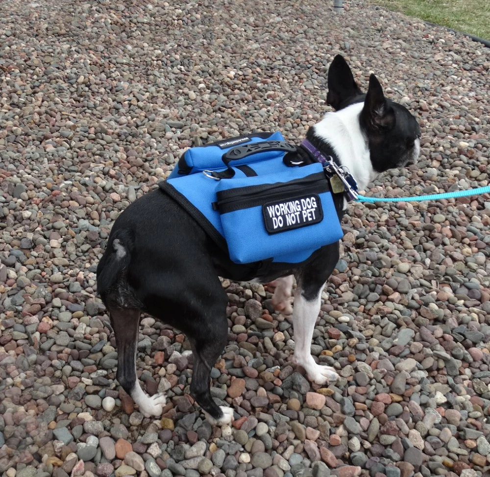 Small Service Dog vest with pockets