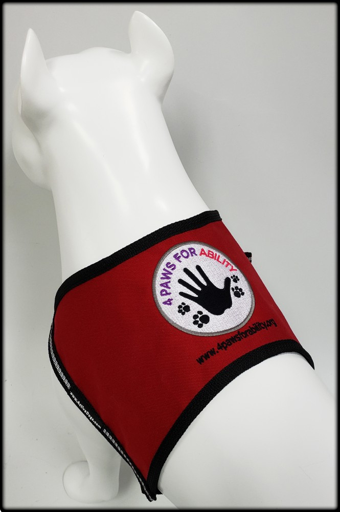 Personalized Service Dog Starter Cape