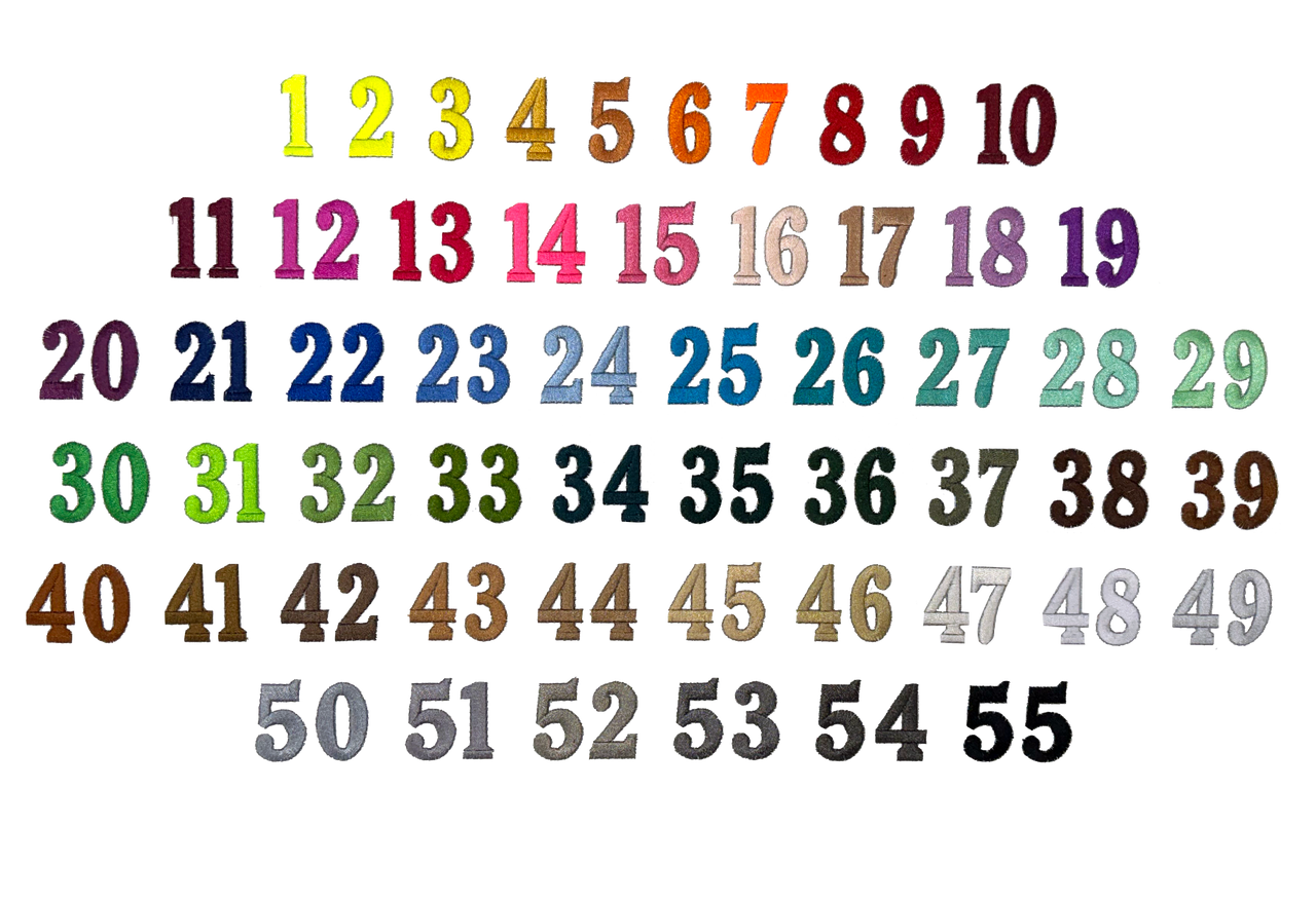 Warm Weather Handler Training Vest