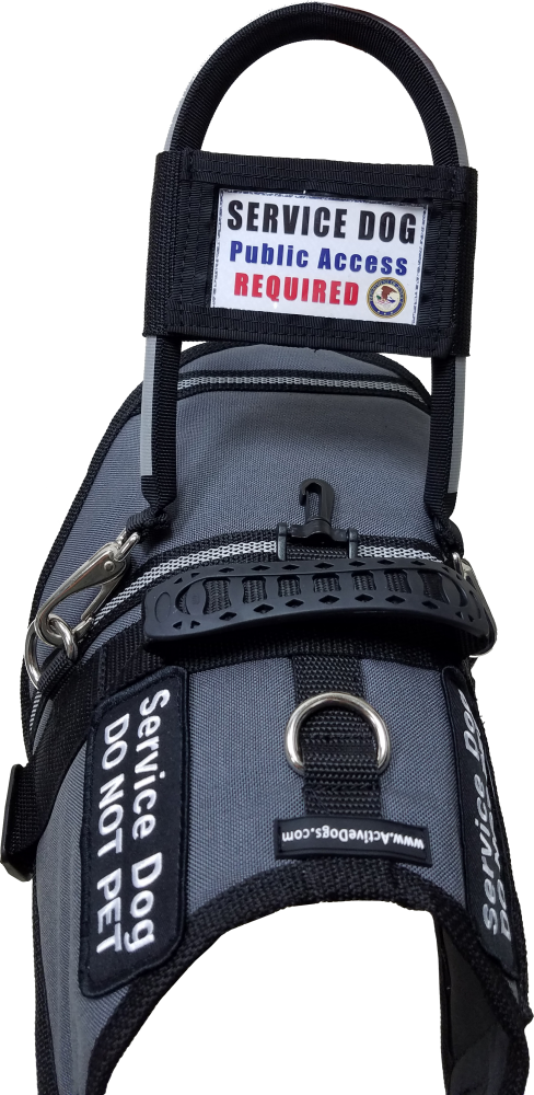 Clear vinyl ID pocket for service dog harness