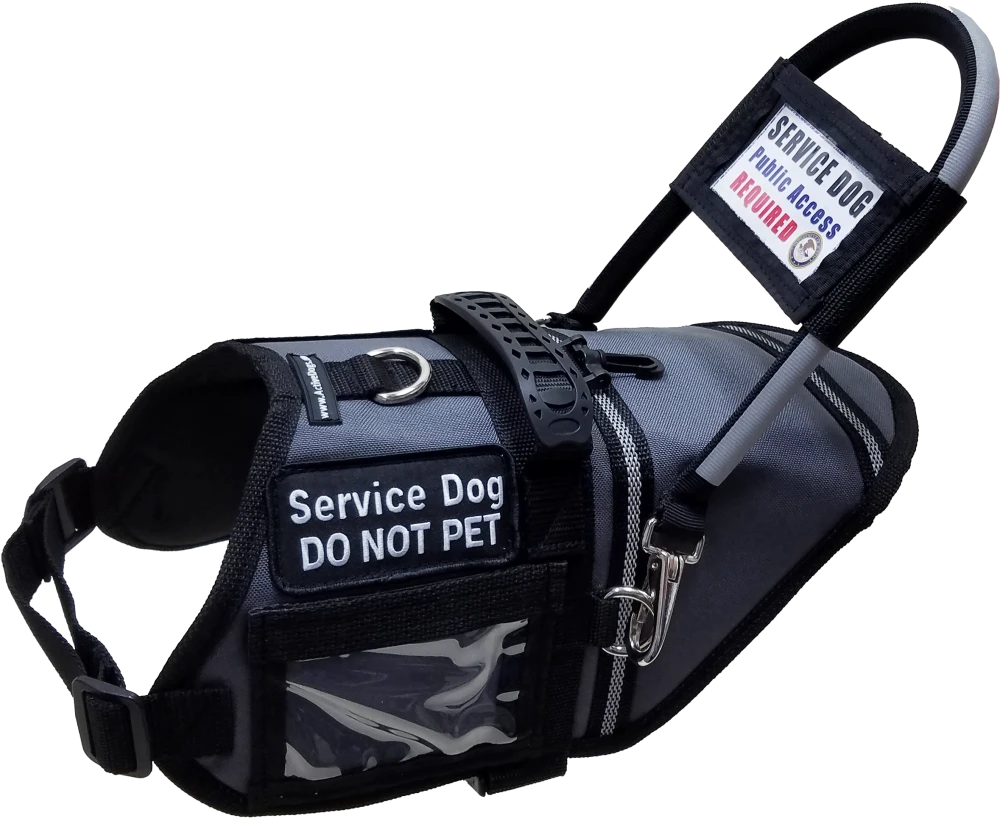 Service dog harness ID display pocket