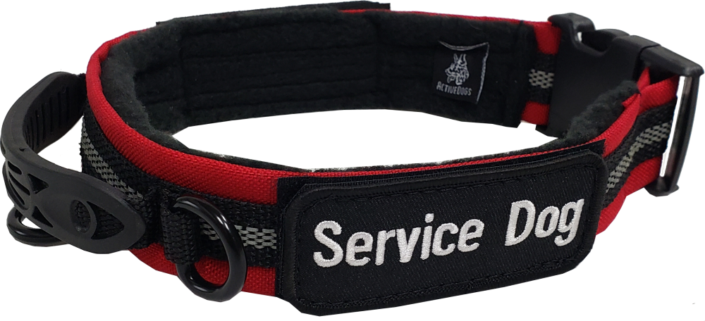 dog collar with velcro patch