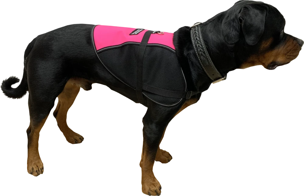 Hybrid cape style Service Dog vest